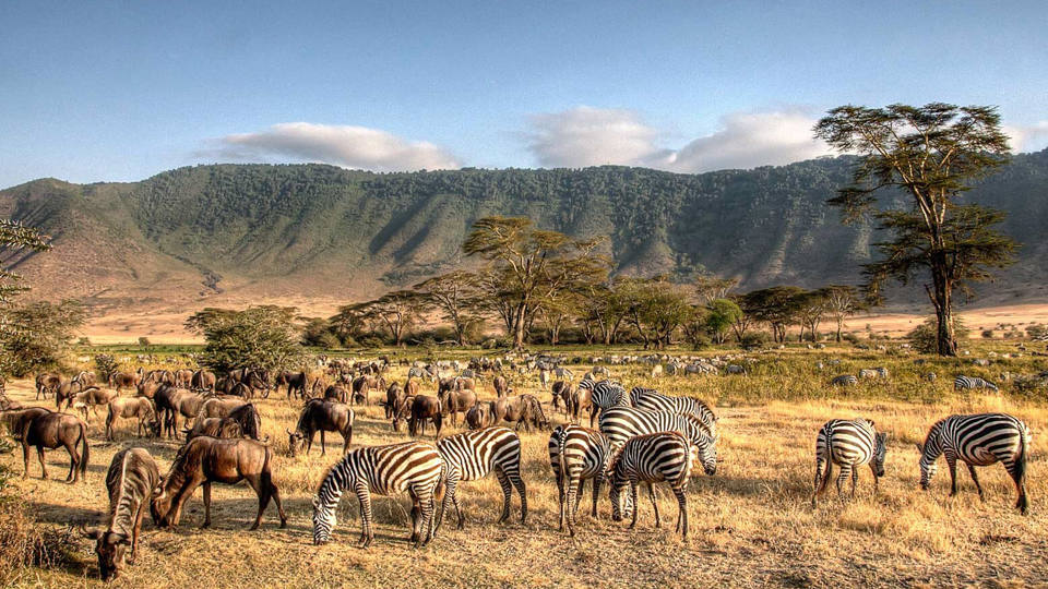 6-days-ngorongoro-and-serengeti-04