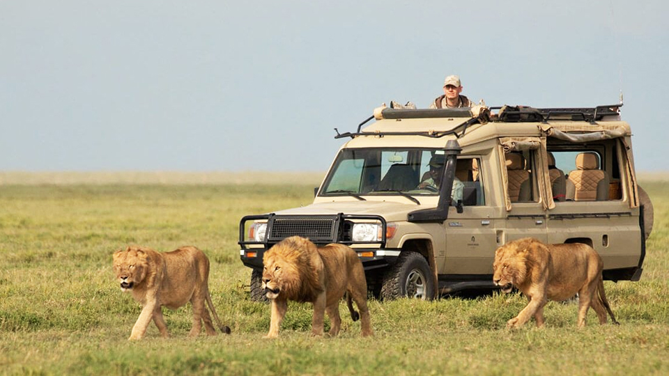 7-Days-serengeti-safari-adventure-05