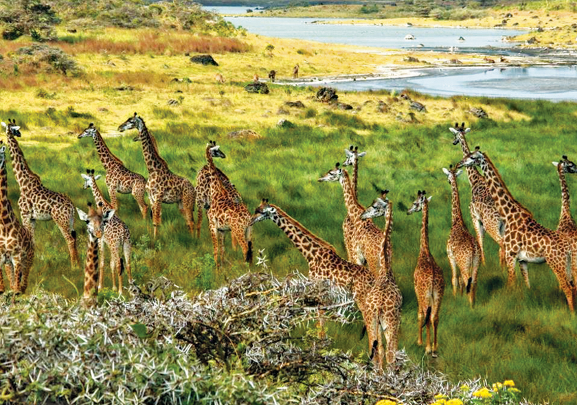 Arusha-National-Park