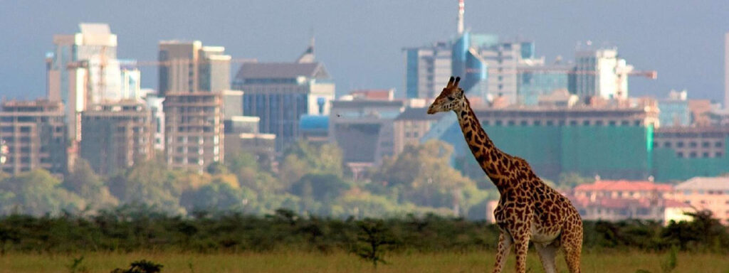 Nairobi National park