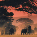 Pinilina-safaris-adventure-safari